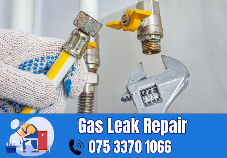 gas leak repair Deal