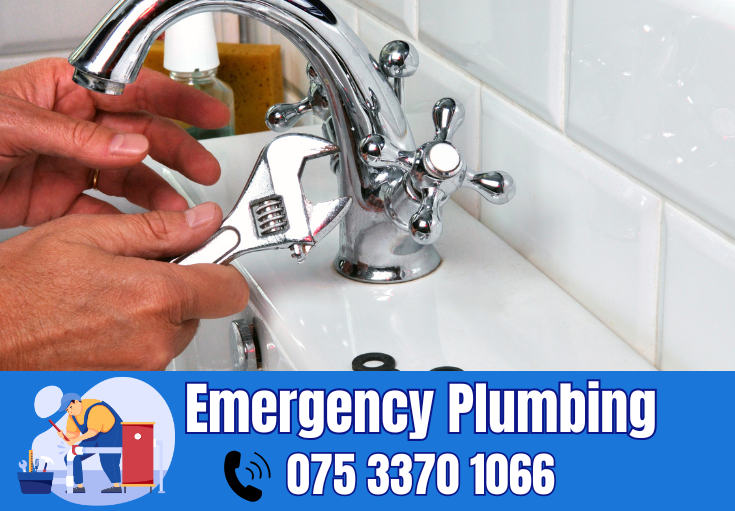  plumber Sholden